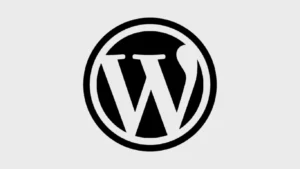 Wordpress tool logo Best digital marketing freelancer in Thrissur.